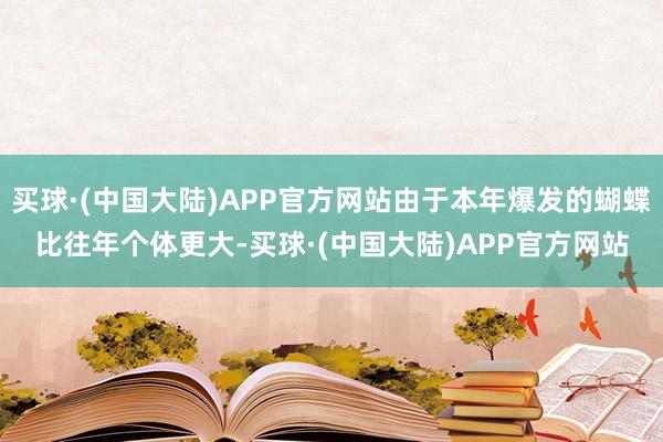 买球·(中国大陆)APP官方网站由于本年爆发的蝴蝶比往年个体更大-买球·(中国大陆)APP官方网站