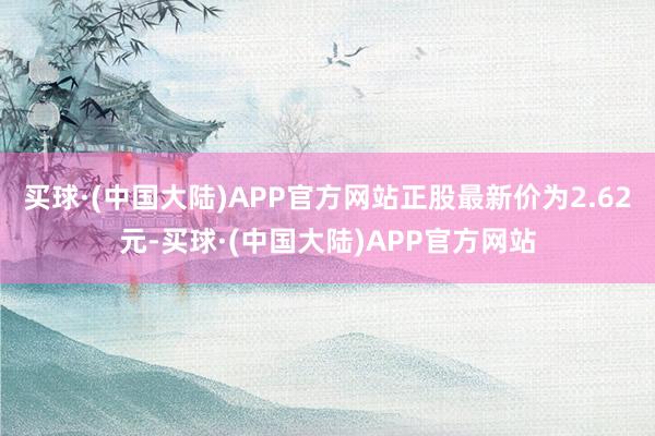 买球·(中国大陆)APP官方网站正股最新价为2.62元-买球·(中国大陆)APP官方网站