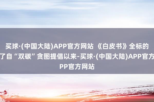 买球·(中国大陆)APP官方网站 《白皮书》全标的展示了自“双碳”贪图提倡以来-买球·(中国大陆)APP官方网站