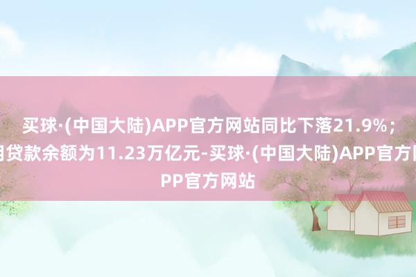 买球·(中国大陆)APP官方网站同比下落21.9%；录用贷款