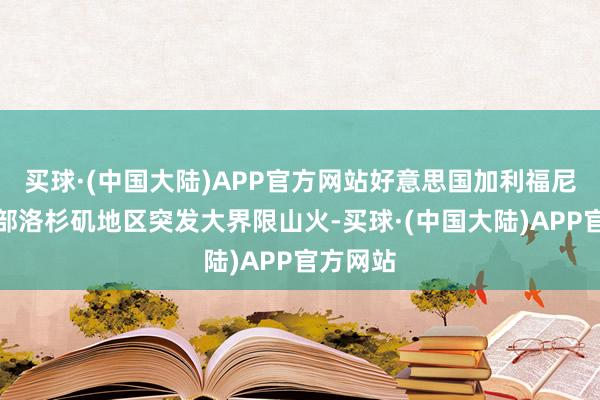 买球·(中国大陆)APP官方网站好意思国加利福尼亚州南部洛杉矶地区突发大界限山火-买球·(中国大陆)APP官方网站