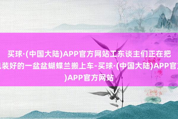 买球·(中国大陆)APP官方网站工东谈主们正在把刚刚包装好的一盆盆蝴蝶兰搬上车-买球·(中国大陆)APP官方网站