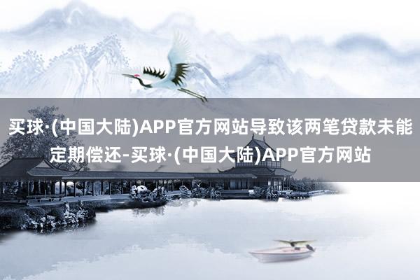 买球·(中国大陆)APP官方网站导致该两笔贷款未能定期偿还-买球·(中国大陆)APP官方网站